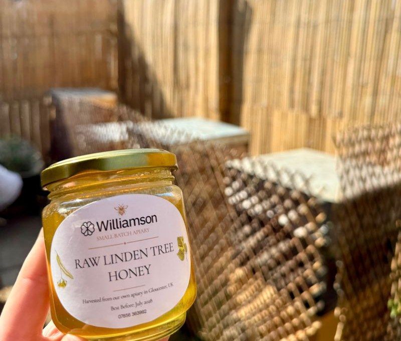 Williamson raw lime tree honey in front of the hives
